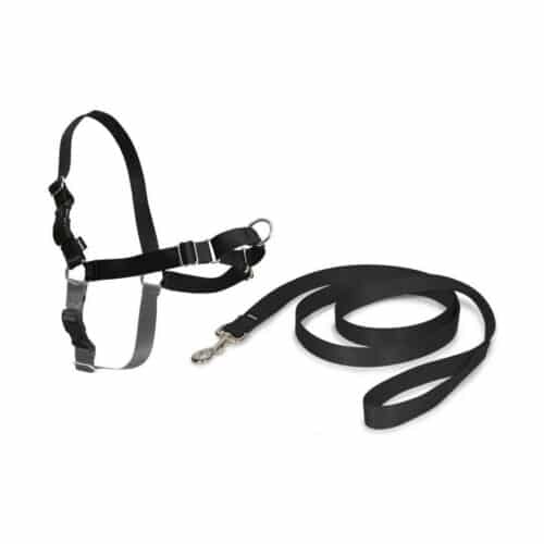 Pet Harness Trixie