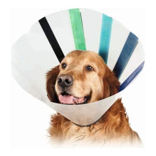 Elizabethan Dog Collar KVP EZ Clear (25-32 cm) Elizabethan Dog Collar KVP EZ Clear (25-32 cm)