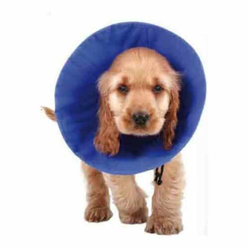 Elizabethan Dog Collar KVP EZ Soft Blue (14-31 cm) Elizabethan Dog Collar KVP EZ Soft Blue (14-31 cm)
