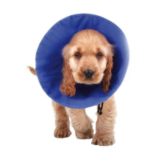 Elizabethan Dog Collar KVP EZ Soft Blue (18-38 cm) Elizabethan Dog Collar KVP EZ Soft Blue (18-38 cm)