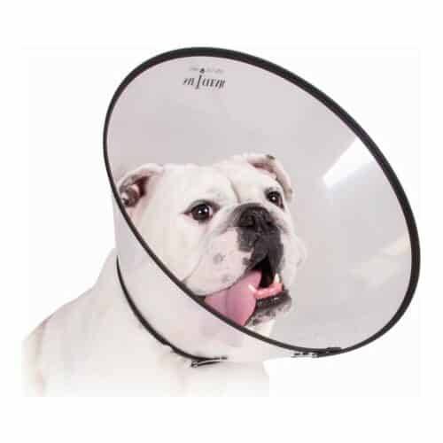 Elizabethan Dog Collar KVP Saf-T-Clear Transparent (30-53 cm) Elizabethan Dog Collar KVP Saf-T-Clear Transparent (30-53 cm)