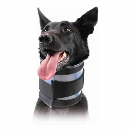 Cervical Collar for Dogs KVP Black (10-41 cm) Cervical Collar for Dogs KVP Black (10-41 cm)