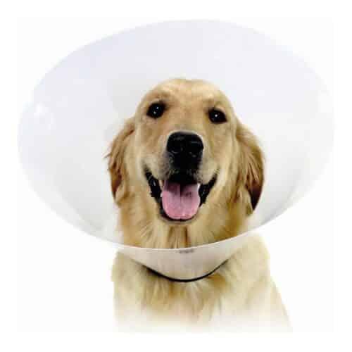Elizabethan Dog Collar KVP Check Transparent (22-27 cm) Elizabethan Dog Collar KVP Check Transparent (22-27 cm)