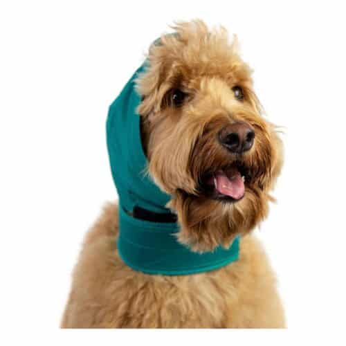 Ear Protector for Dogs KVP Green XS Ear Protector for Dogs KVP Green XS