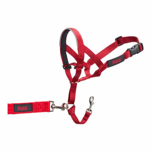 Dog Training Collars Company of Animals Halti Muzzle (31-40 cm) Dog Training Collars Company of Animals Halti Muzzle (31-40 cm)