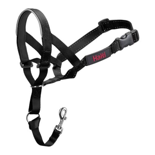 Dog Training Collars Company of Animals Halti Black Muzzle (40-54 cm) Dog Training Collars Company of Animals Halti Black Muzzle (40-54 cm)