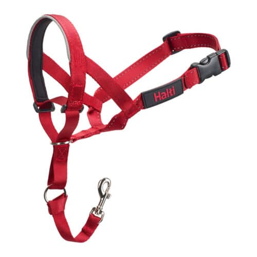 Dog Training Collars Company of Animals Halti Muzzle (40-54 cm) Dog Training Collars Company of Animals Halti Muzzle (40-54 cm)