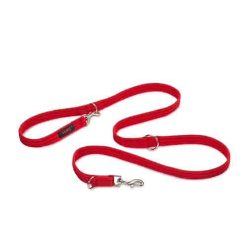 Training lead Company of Animals Red Training lead Company of Animals Red