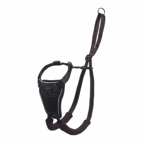 Dog Harness Company of Animals Halti Size S (26-36 cm) Dog Harness Company of Animals Halti Size S (26-36 cm)