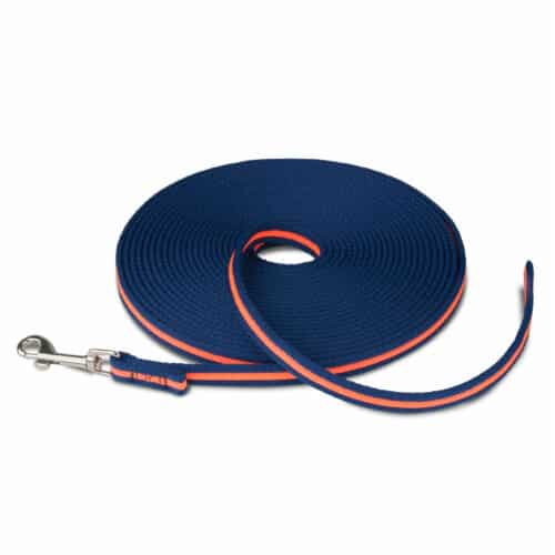 Training lead Coachi Blue 10m Training Training lead Coachi Blue 10m Training