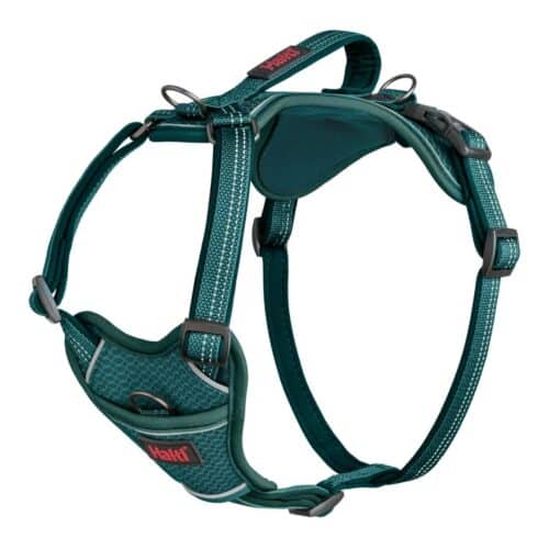 Dog Harness Company of Animals Turquoise XS 20-32 cm Dog Harness Company of Animals Turquoise XS 20-32 cm