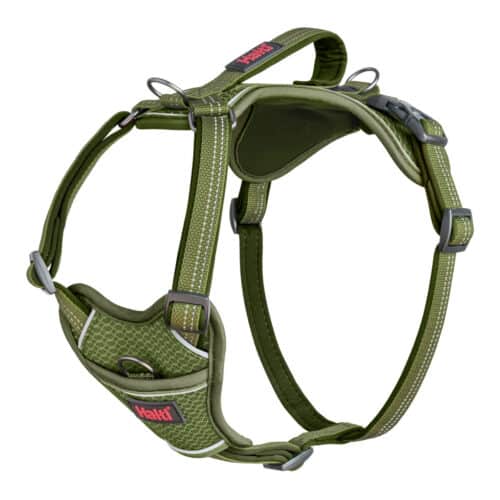 Dog Harness Company of Animals Green XL 50-78 cm Dog Harness Company of Animals Green XL 50-78 cm