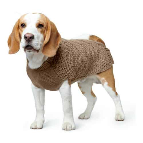 Dog Jumper Hunter Malmö Dog Jumper Hunter Malmö