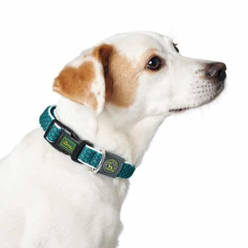 Dog collar Hunter Vario Basic Threads Brown Size S (30-43 cm) Dog collar Hunter Vario Basic Threads Brown Size S (30-43 cm)
