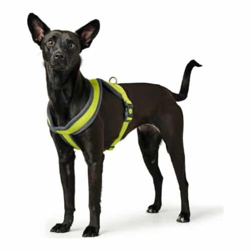Dog Harness Hunter London Comfort XS-S 39-47 cm Lime Dog Harness Hunter London Comfort XS-S 39-47 cm Lime
