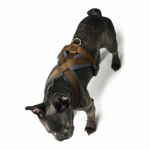 Dog Harness Hunter London Comfort XS-S 39-47 cm Brown Dog Harness Hunter London Comfort XS-S 39-47 cm Brown