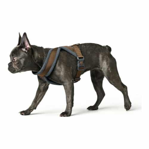 Dog Harness Hunter London Comfort 52-62 cm Brown Size S/M Dog Harness Hunter London Comfort 52-62 cm Brown Size S/M