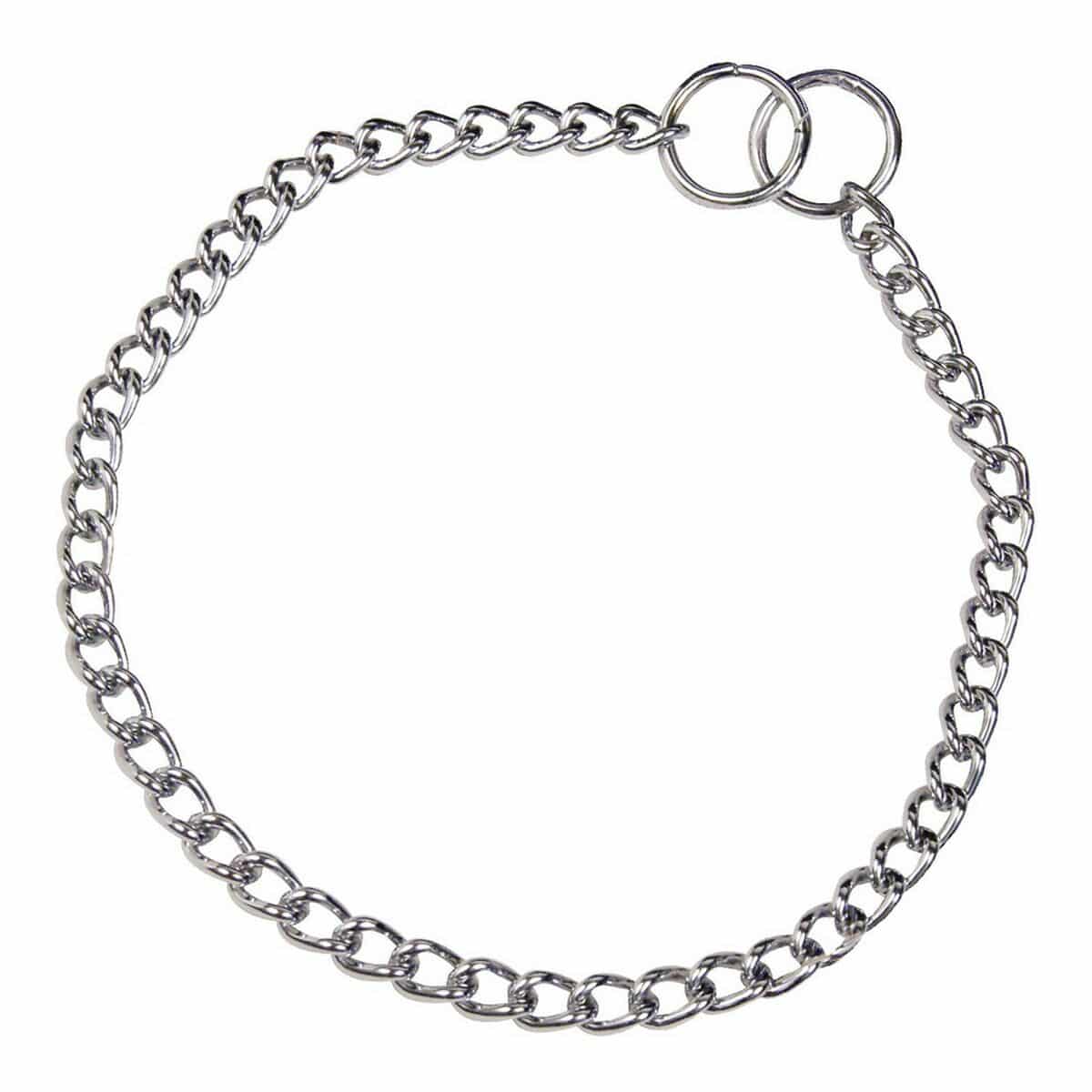 Dog collar Hs Sprenger Silver 2