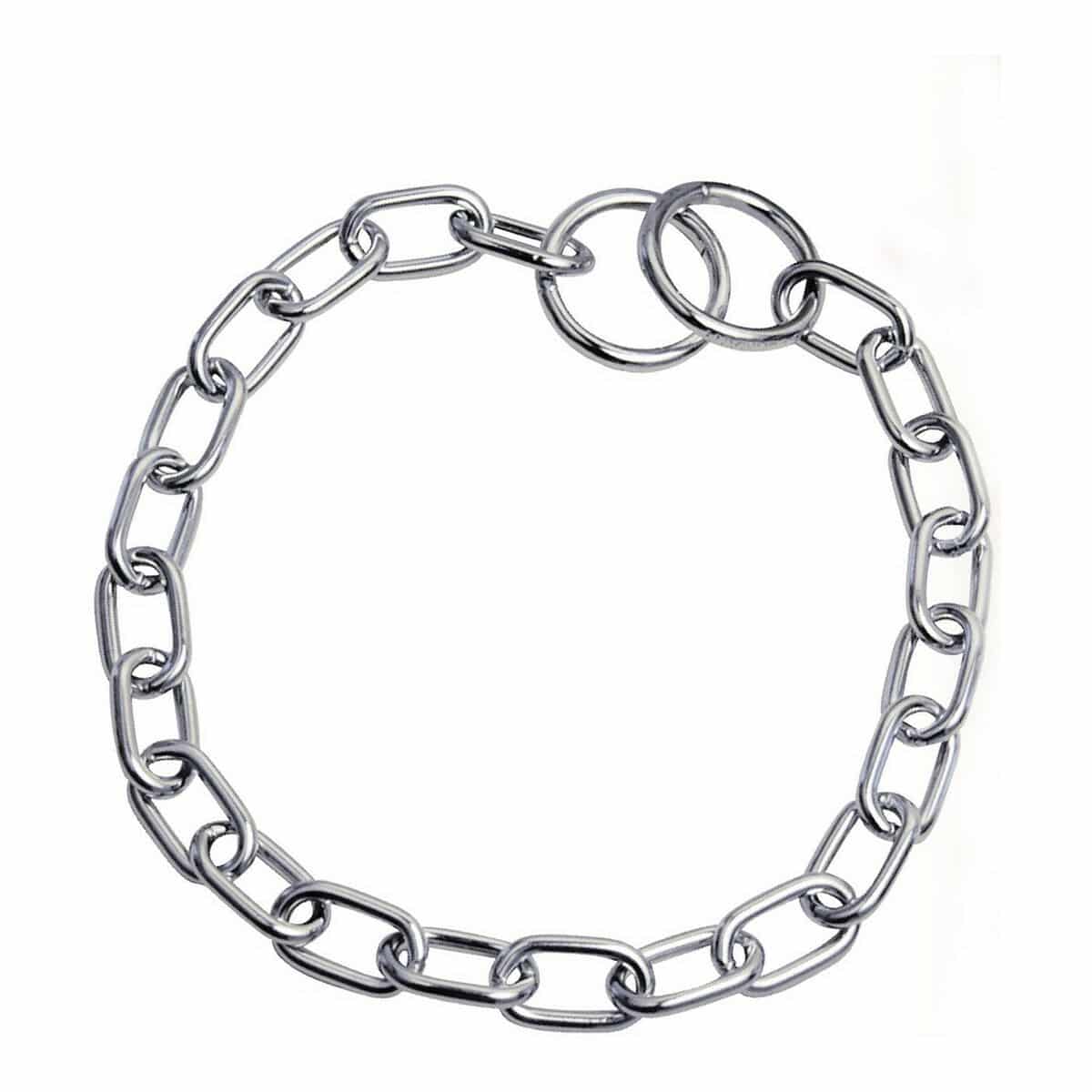 Dog collar Hs Sprenger Silver 3