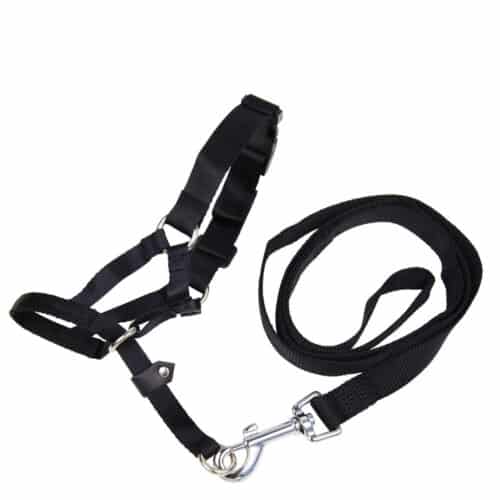 Muzzle Gloria Black 5 24 cm