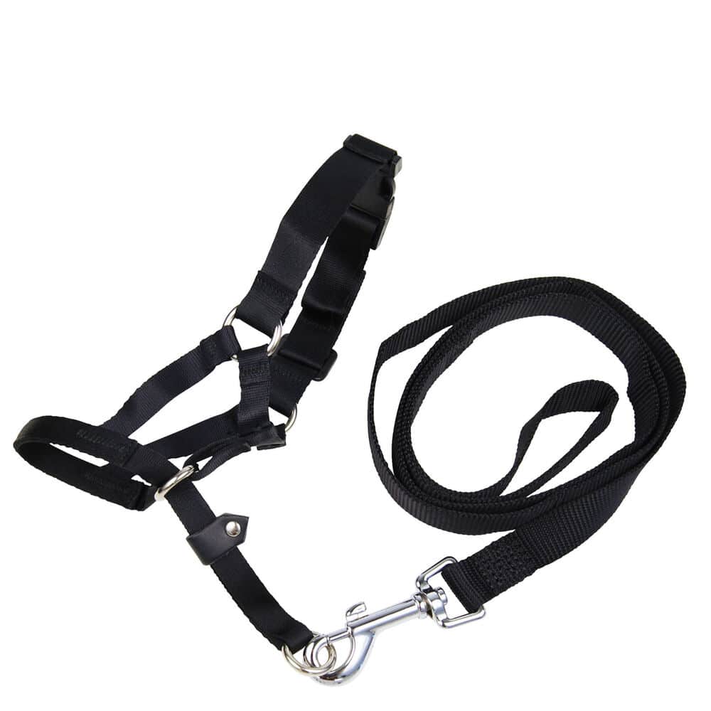 Muzzle Gloria Black 5 24 cm