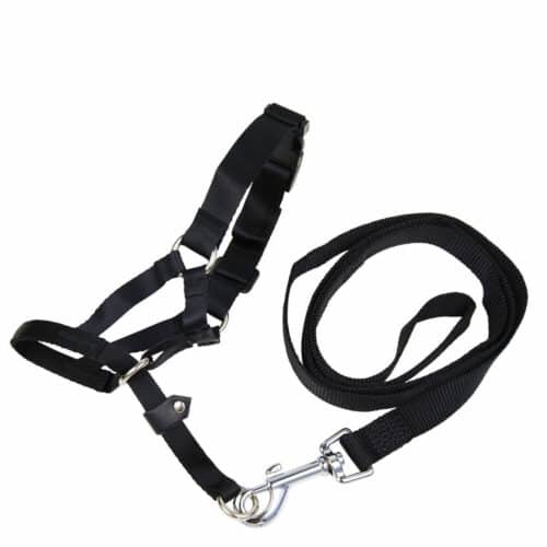 Muzzle Gloria Black 8 31 cm