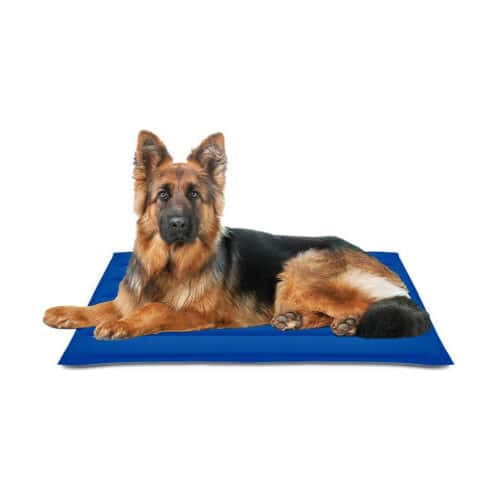 Dog Carpet Nayeco Blue Cooling gel 90 x 105 cm Dog Carpet Nayeco Blue Cooling gel 90 x 105 cm
