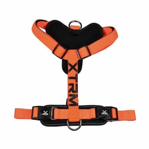 Pet Harness Nayeco x-trm 35-60 x 1 Pet Harness Nayeco x-trm 35-60 x 1