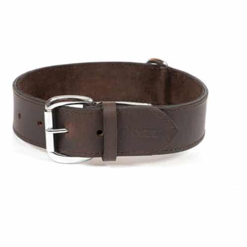 Dog collar Gloria Brown (80 x 4 cm) Dog collar Gloria Brown (80 x 4 cm)