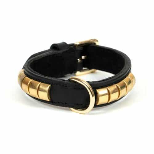 Dog collar Gloria Duna Black Golden (45 x 2.5 cm) Dog collar Gloria Duna Black Golden (45 x 2.5 cm)