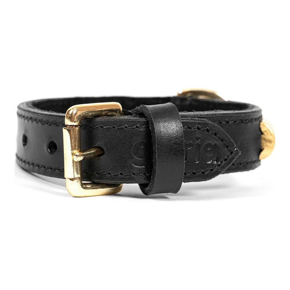 Dog collar Gloria Duna Black Golden (50 x 2