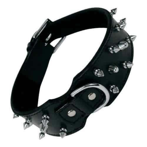 Dog collar Gloria Black Spikes (65 cm) Dog collar Gloria Black Spikes (65 cm)