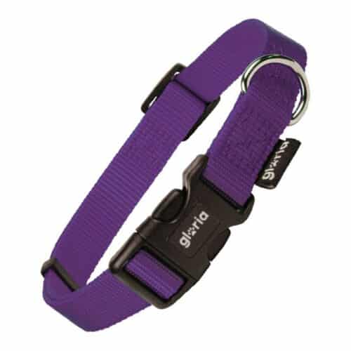 Dog collar Gloria Purple Size M (29-53 cm) Dog collar Gloria Purple Size M (29-53 cm)