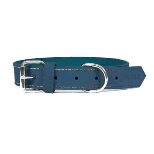 Dog collar Gloria Oasis Blue (1 Dog collar Gloria Oasis Blue (1
