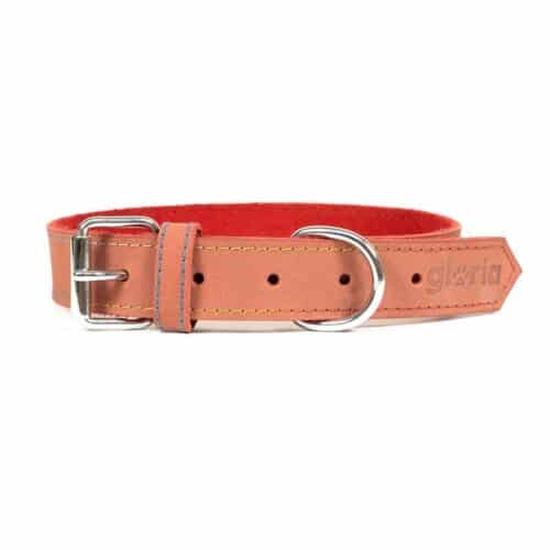 Dog collar Gloria Oasis Red (1 Dog collar Gloria Oasis Red (1