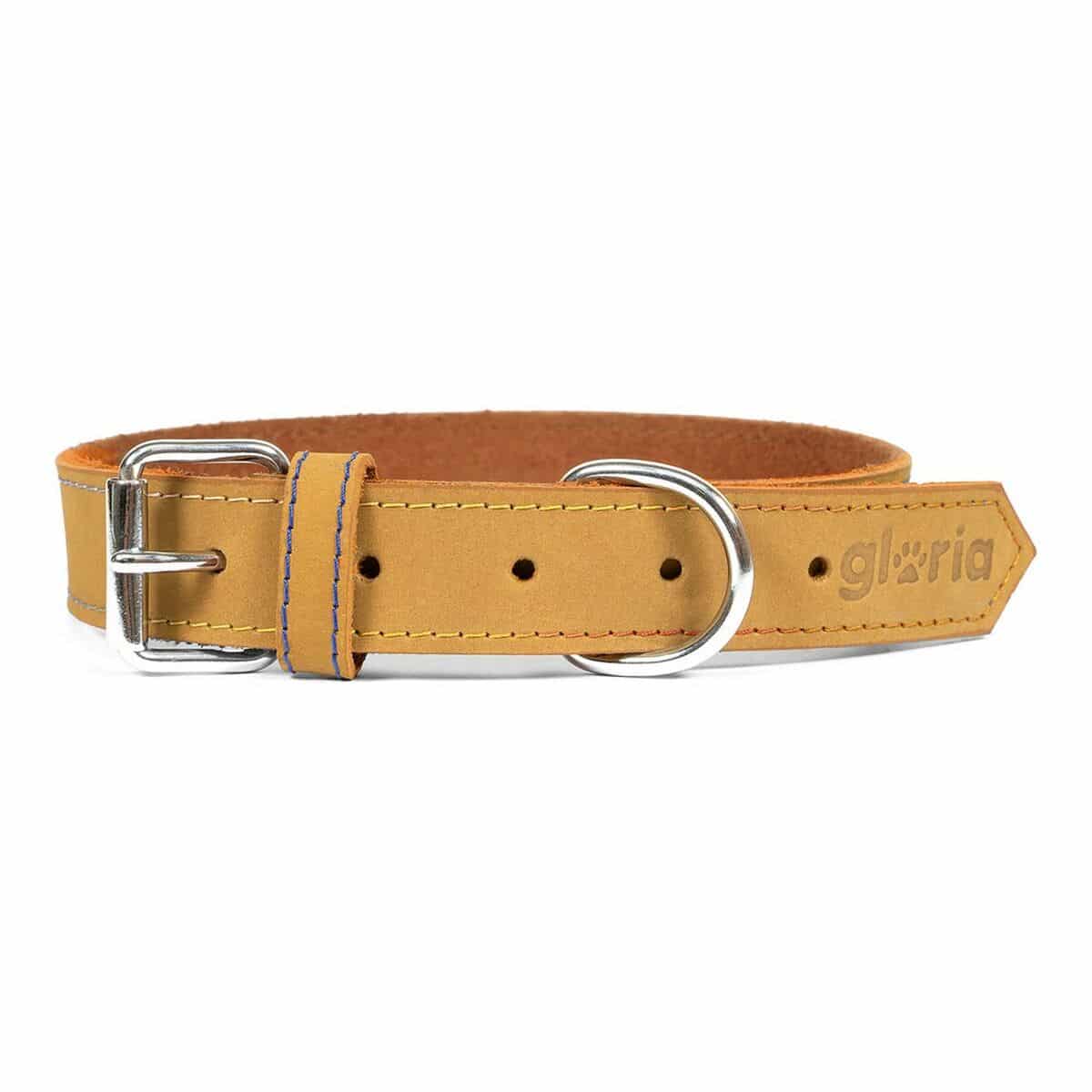 Dog collar Gloria Oasis Yellow (55 x 2