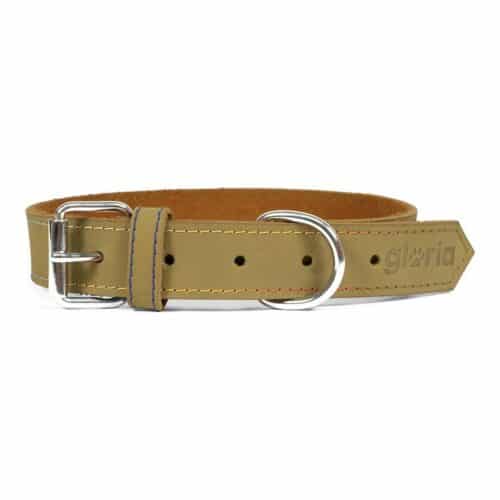 Dog collar Gloria Oasis Green (55 x 2