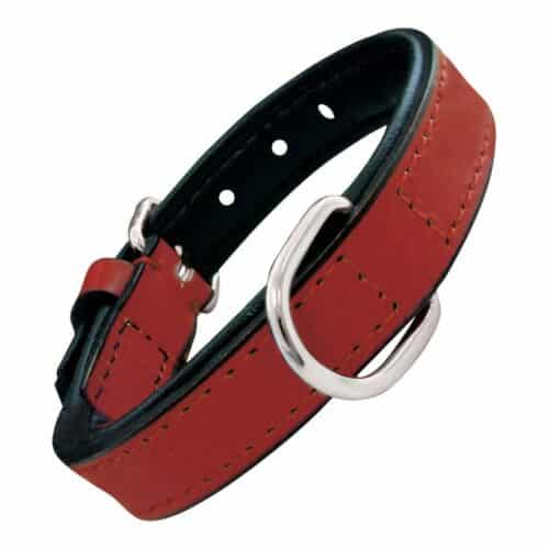 Dog collar Gloria Padded Red (35 x 1 Dog collar Gloria Padded Red (35 x 1