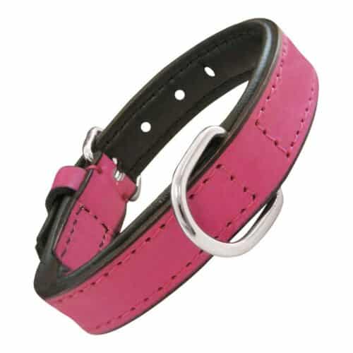 Dog collar Gloria Padded Fuchsia (35 x 1 Dog collar Gloria Padded Fuchsia (35 x 1