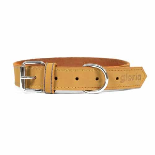 Dog collar Gloria Oasis Yellow (1 Dog collar Gloria Oasis Yellow (1