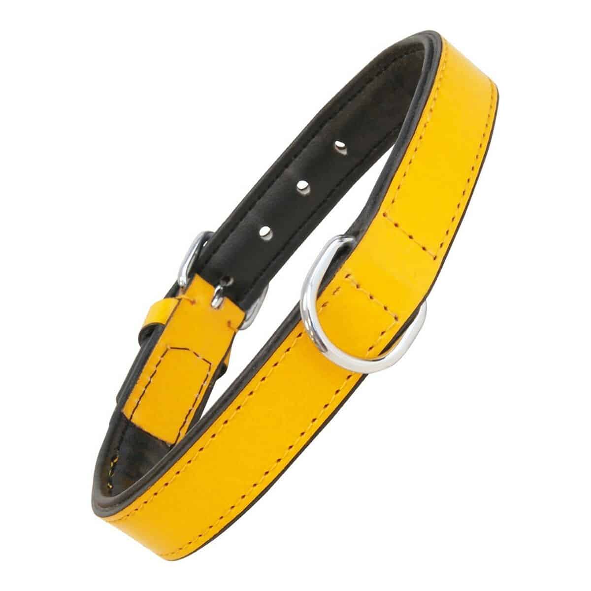 Dog collar Gloria Padded Yellow (30 x 1