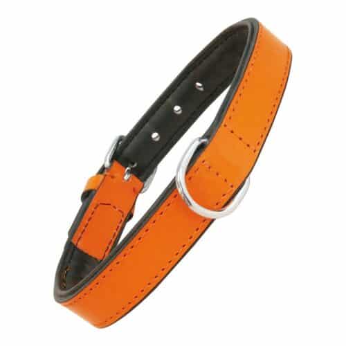 Dog collar Gloria Padded Orange (35 x 1 Dog collar Gloria Padded Orange (35 x 1
