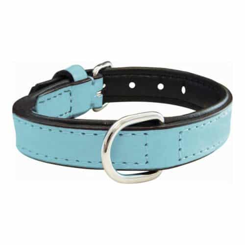 Dog collar Gloria Padded Blue (55 x 2 Dog collar Gloria Padded Blue (55 x 2