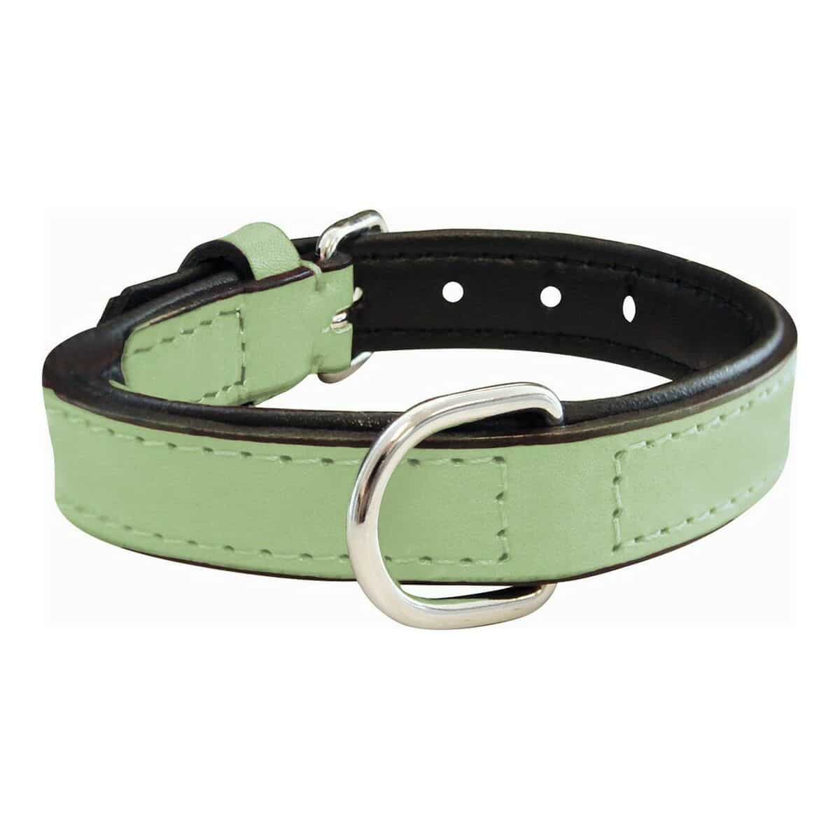 Dog collar Gloria Padded Green (35 x 1