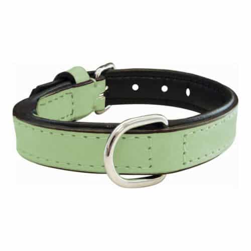 Dog collar Gloria Padded Green (50 x 2 Dog collar Gloria Padded Green (50 x 2
