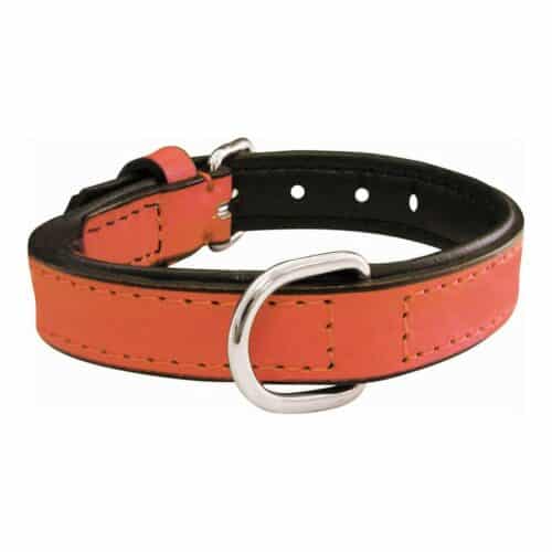 Dog collar Gloria Padded Coral (30 x 1