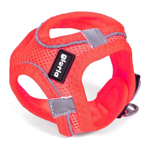 Dog Harness Gloria Air Mesh Star Pink Size XXS (24-26 cm) Dog Harness Gloria Air Mesh Star Pink Size XXS (24-26 cm)