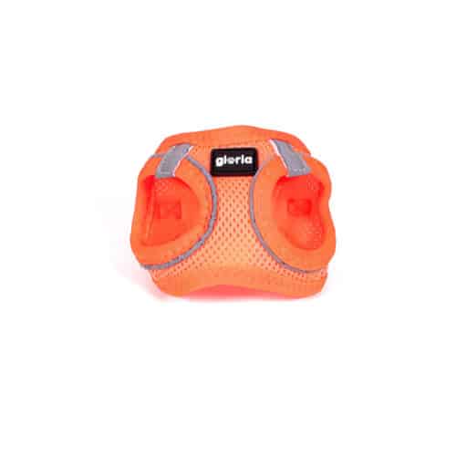 Dog Harness Gloria Trek Star 24-26 cm 28-28 Dog Harness Gloria Trek Star 24-26 cm 28-28