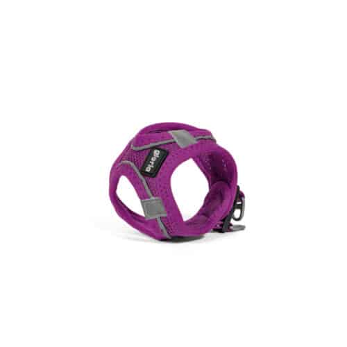 Dog Harness Gloria Trek Star 24-26 cm 28-28 Dog Harness Gloria Trek Star 24-26 cm 28-28