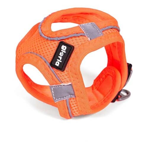 Dog Harness Gloria Air Mesh Trek Star Adjustable Orange L (33